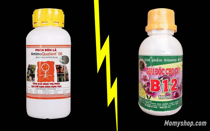 Bộ đôi phân thuốc trị bệnh vàng lá cho lan