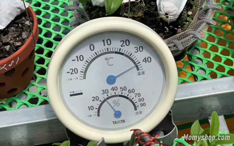 Trang bị máy đo nhiệt độ, độ ẩm cho vườn lan vào ngày hè nắng nóng